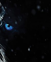 NightKing.crypto