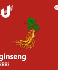 ginseng.888